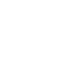 dollar icon